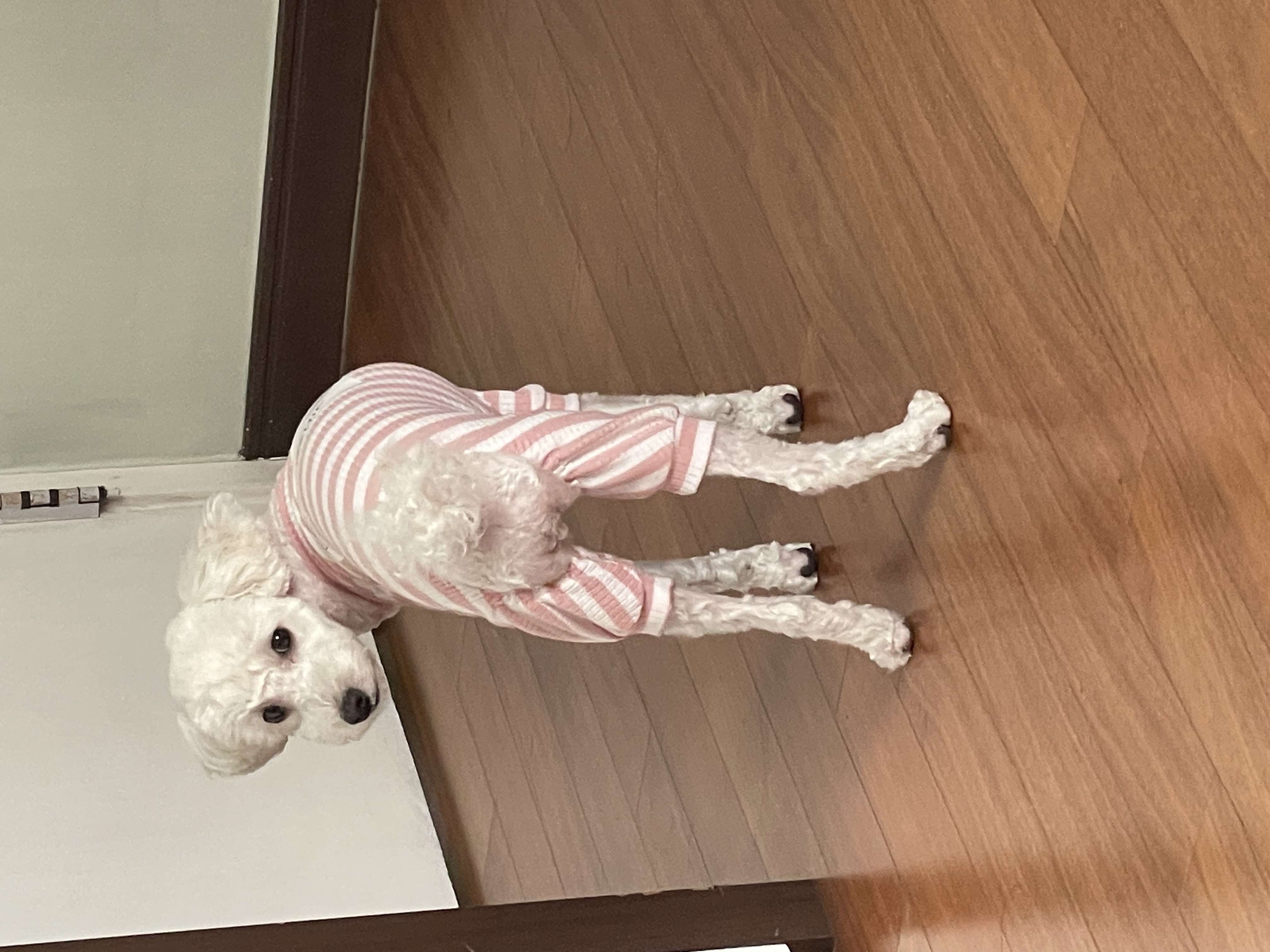 호떡집에불이